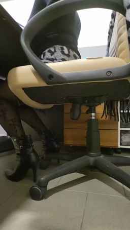 CP7481 Webcam Rips 13-01-2023