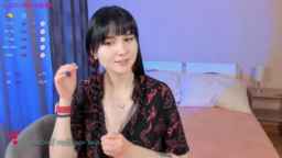 G1neva Webcam Rips 15-12-2022