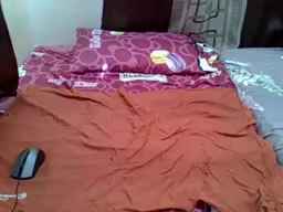 Jovial_ Webcam Rips 13-11-2022