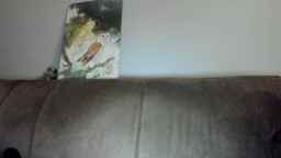Laurel Webcam Rips 29-12-2022