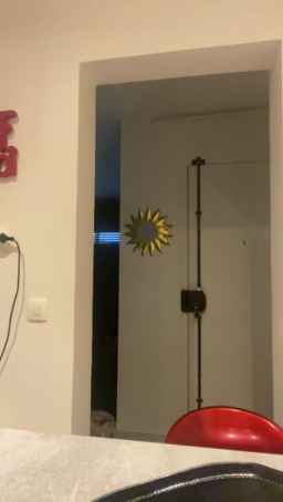 Misstuberosa Webcam Rips 02-01-2023