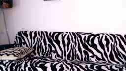 Rose4Lucy Webcam Rips 17-11-2022