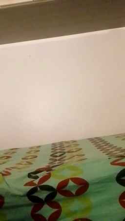 mocaloka3 Webcam Rips 17-11-2022