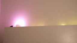 sae__ Webcam Rips 06-12-2022