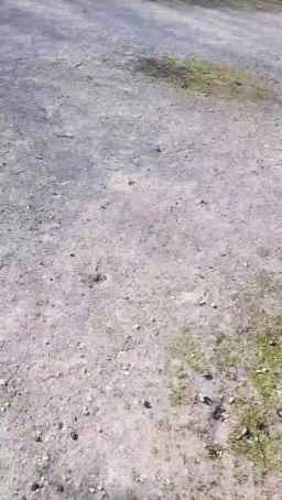 Kittenpurrr Webcam Rips 19-02-2023