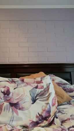Candy2023 Webcam Rips 14-03-2023