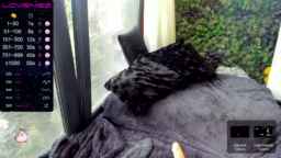 sassyt33n Webcam Rips 04-02-2023
