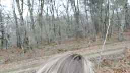 winniess40 Webcam Rips 05-02-2023