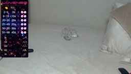 -ALLSAINT- Webcam Rips 19-05-2023