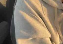 AniGi Webcam Rips 11-04-2023