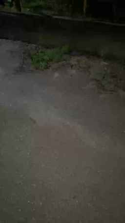 XXXextremStile Webcam Rips 01-05-2023