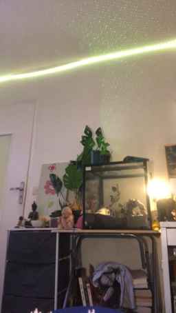 elleblue_sexy Webcam Rips 25-05-2023