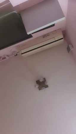 eveangelll Webcam Rips 04-05-2023