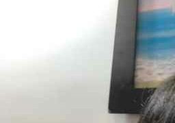fernandarios9 Webcam Rips 09-05-2023