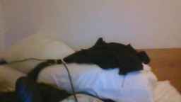 frikkitona Webcam Rips 19-05-2023