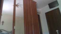 martinabigst Webcam Rips 10-06-2023