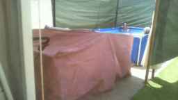 shyla62 Webcam Rips 20-06-2023