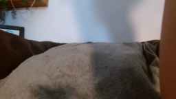 BunnyNextDoor Webcam Rips 17-07-2023