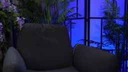 KellyKentMe Webcam Rips 27-07-2023