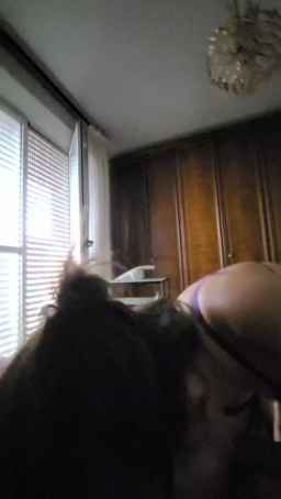 Porcelli7795 Webcam Rips 06-07-2023