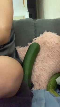 Timidea2 Webcam Rips 27-07-2023