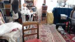 melantha Webcam Rips 29-06-2023
