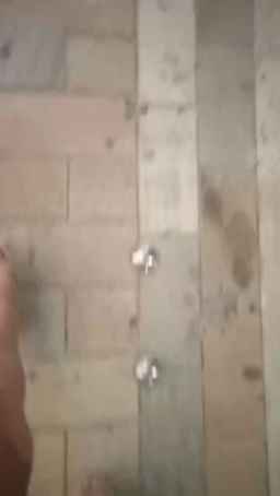 troia_virtuale Webcam Rips 16-07-2023