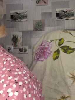 Anesteishen Webcam Rips 11-09-2023