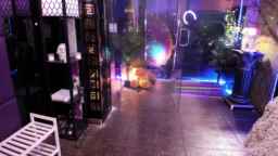 sunn_o Webcam Rips 28-09-2023