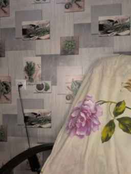 Anesteishen Webcam Rips 11-09-2023