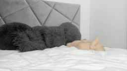 BlueEyesLexy Webcam Rips 21-09-2023