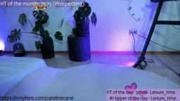 CatelineCane Webcam Rips 29-08-2023