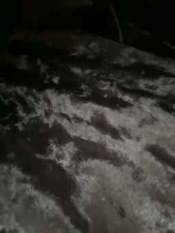 -Molly-Mae- Webcam Rips 01-09-2023
