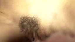 Noma_Hill Webcam Rips 20-09-2023