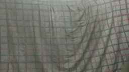 Pepsicolacouple Webcam Rips 26-09-2023