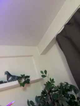 Sex_TV Webcam Rips 10-08-2023