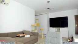 Angie Webcam Rips 11-10-2023