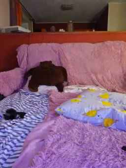 LolyMolly Webcam Rips 13-10-2023