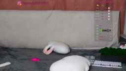 OgonEchEKKK Webcam Rips 14-09-2023