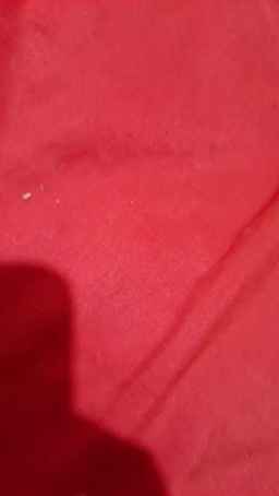 Valengolosita2 Webcam Rips 27-11-2023