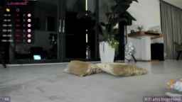 BibiLouWho Webcam Rips 13-12-2023