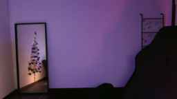RoomToAvoid Webcam Rips 22-12-2023