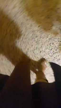 JadeFiorelli Webcam Rips 31-12-2023