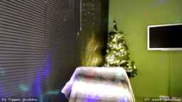 MissMasie Webcam Rips 31-12-2023