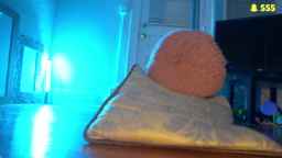 Noma_Hill Webcam Rips 13-12-2023