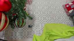 is_amelia Webcam Rips 22-12-2023