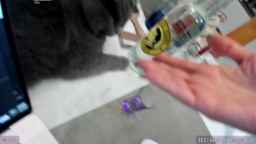 BdayJolie Webcam Rips 12-01-2024