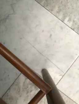 Chark-41 Webcam Rips 11-01-2024