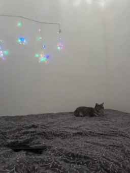 mery8poppins Webcam Rips 16-01-2024