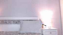 Dikiy_Angel Webcam Rips 01-02-2024